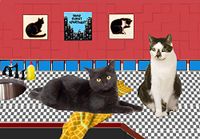 Home Sweet Apartment Cat Cards, Blank 5 X 7 Inch Deluxe Notecards, Singles, Sets of 5 or 10, Designed By Deborah Julian (5)