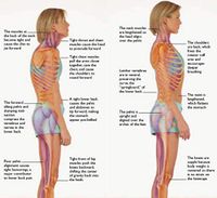 Posture Corrector for Children and Teenagers