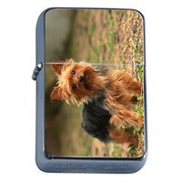 Dog yorkshire terrier Oil Lighter