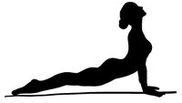 hBARSCI Yoga Cobra Pose Vinyl Decal - 5 Inches - for Cars, Trucks, Windows, Laptops, Tablets, Outdoor-Grade 2.5mil Thick Vinyl - Black