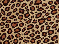 5ct. Animal Print Tissue Paper 15"x20" Sheets Gift Wrap Leopard Zebra Paw Giraffe (Standard Leopard) ngKE1952