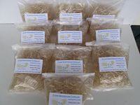 PurecapsUSA - 10,000 Size 1 Fillable Clear Empty Vegetarian Capsules