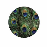 Peacock Print Stickers - Gift Bag or Envelope Seals - Peacock Bird Feather Theme Stationery Design - Party Favor Supplies - Set of 24
