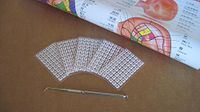 Acupuncture English & Chinese Ear Chart 25' X 18' with 300 PCS Ear Seeds and Professional Stainless Steel Curved Probe