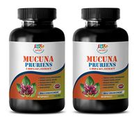 libido max for Men - MUCUNA PRURIENS 99% Extract 350MG - Stress Relief - Mood and LIBIDO Booster - Natural - mucuna pruriens Bean - 2 Bottles (120 Capsules)