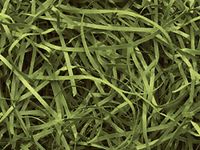 12oz Olive Green VERYFINE Fine Cut Gift Basket Shred Paper Grass Filler Bedding
