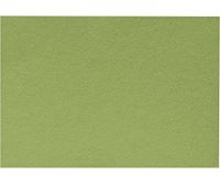 A1 Notecards (3 1/2 x 4 7/8) - Avocado (1000 Qty.)