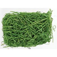 The Moss Collection Basket Filler Wood Excelsior in Kelly Green 1 Lb