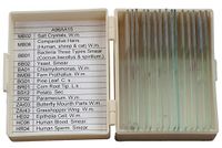 OMAX 15 Prepared Slides with Plastic Box in Basic Science Set A