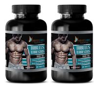 Muscle Enhancer - TRIBULUS TERRESTRIS 1000MG - 40% Extract - tribulus Himalaya - 2 Bottles (120 Tablets)