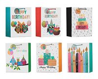 ViiGift Premium Large Birthday Gift Bags with Glitters and Tags - A Complete Set. Includes 6 glittered gift bags with tags, 6 matching birthday greeting cards, 6 envelops, 18 tissue papers.