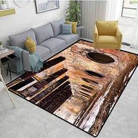 TableCoversHome Industrial Plants Area Rug Slip Pad, Old Ruins Polluted Town Pattern Printing Door Mat, Durable Rugs - Living, Dinning, Office, Rooms & Bedrrom, Hallway Carpet (2'x 6')