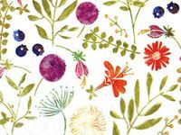 5ct Multi-Colored Alpine Meadow Floral Tissue Paper for Gift Wrapping 20"x30" Sheets nfLG -1151