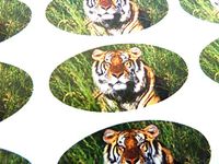 Minilabel Pack Of 30 , Tiger Seals , 51X25mm Oval Seal Labels, Stickers For Gift Wrapping, Presents, Envelopes, Bags Or Cards
