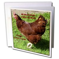 3dRose State Bird Of Rhode Island Red Chicken - Greeting Cards, 6 x 6 inches, set of 6 (gc_50942_1)