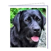 Black Labrador Retriever - Rizzo - Set of 6 with Envelopes by Doggylips