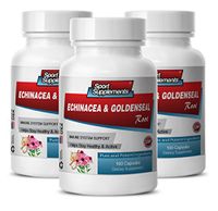 antioxidant and Immunity - Echinacea & Goldenseal Root 300MG - goldenseal Cleanse - 3 Bottles (300 Capsules)