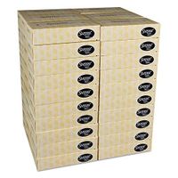 Facial Tissue, 2-Ply, 125 Tissues/box, 60 Boxes/carton