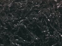 Crinkle Paper Shred for Packaging Gift Box/Basket Filler 2-Ounce Bag (Black)