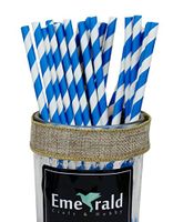 Premium Quality Biodegradable Eco Friendly Paper Straws, Pack of 25 (Blue Striped)