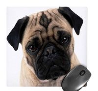 3dRose LLC 8 x 8 x 0.25 Inches Mouse Pad, Cute Mug of a Pug (mp_100990_1)