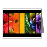Note Cards (10 Pack) Rainbow Drops Gay Pride Flag