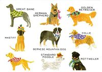 Tall Dogs Boxed Notecards Set of 8 Cards
