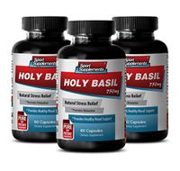 Cholesterol Essentials - HOLY Basil 750MG - Natural Stress Relief - Wellness Support Supplements - 3 Bottles (180 Capsules)