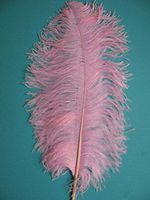 1 Pcs OSTRICH FEATHER - OSTRICH PLUMES (Light Pink)