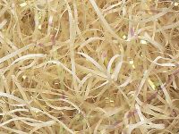 Vanilla Cream Iridescent Cello VERYFINE Fine Cut Gift Basket Shred Paper Filler (6 Oz Bag)
