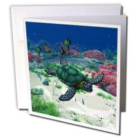 3dRose Sea turtle swims through the ocean with tropic fishes corals and more - Greeting Cards, 6 x 6 inches, set of 6 (gc_172910_1)
