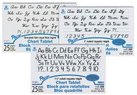 School Smart 85342 Spiral Bound Ruled and Unruled Chart Tablet Assortment - 24 in x 16 in - Pack of 12