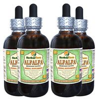 Alfalfa (Medicago Sativa) Glycerite, Organic Dried Leaf Alcohol-Free Liquid Extract (Brand Name: HerbalTerra, Proudly Made in USA) 4x4 fl.oz (4x120 ml)