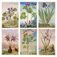 Mini Matchbook Set of 6 Images (Botanical Floral)