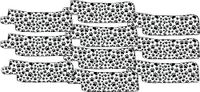 Nasogastric or Oxygen Tube precut Adhesive Tape Paws Theme x 10 Pack. (Mix Left & Right Side)