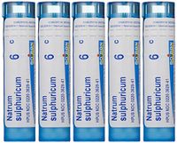 Boiron Natrum Sulphuricum 6C (Pack of 5), Homeopathic Medicine for Bronchial Irritation