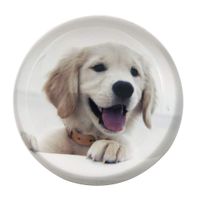 Waltz&F Crystal Small Dog Paperweight Galss Globe Hemisphere Home Office Table Decoration