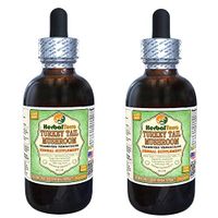 Turkey Tail Mushroom (Trametes Versicolor) Glycerite, Dried Mushroom Alcohol-Free Liquid Extract (Brand Name: HerbalTerra, Proudly Made in USA) 2x2 fl.oz (2x60 ml)