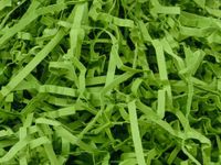 4oz Bag Heavy Duty Oasis Green Gift Basket Shred Crinkle Paper Grass Filler Bedding nfLG -1738