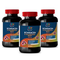 Metabolism Boosting Supplements - Echinacea Extract & Goldenseal Root 300 Mg Complex - goldenseal Capsules - 3 Bottles (180 Capsules)