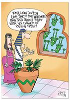 NobleWorks ''Raining Frogs'' Funny Passover Greeting Card, 5" x 7" (C1633PAG)