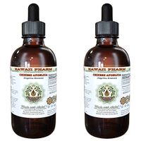 Dong Quai Alcohol-Free Liquid Extract, Organic Chinese Angelica (Angelica sinensis) Dried Root Glycerite Hawaii Pharm Natural Herbal Supplement 2x4 oz