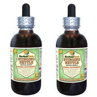 Stinging Nettle (Urtica Dioica) Glycerite, Organic Dried Roots Alcohol-Free Liquid Extract (Brand Name: HerbalTerra, Proudly Made in USA) 2x4 fl.oz (2x120 ml)