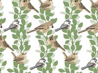 Farmhouse Birds Print Design Gift Grade Tissue Paper Sheets - 15" x 20" Choose Package Amount (240)