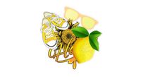 AArtTM Super Cute Sun Flower Vinyl Decal Stickers, Cute Summer Beach Yellow Vinyl Stickers, Laptop Bright Yellow Vinyl Decals, Water Bottle Stickers Multi Pack (Yellow Stickers)