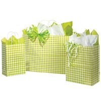 NW Apple Green Gingham Paper Shopping Bags - Assortment of 4 Sizes - 125 Pack