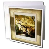 3dRose Bonsai Japanese Maple - Greeting Cards, 6 x 6", Set of 12 (gc_34033_2)