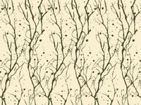Rustic Natural Branches Printed Tissue Paper for Gift Wrapping, 24 Sheets