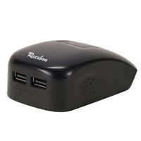 REEXBON USB Power Source for Dewalt 10.8V-20V Max DCB121, DCB120, DCB140, DCB180, DCB203, DCB200 Li-ion Battery - 12V 14.4V 18V Phones iPads Radios Charger Adapter, Dual Port Rapid Charger