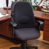 ObusForme Black Lowback Backrest Removable Adjustable Lumbar Support, 6 Pound